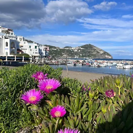Bluoltremare Sant'Angelo (Isola d'Ischia)