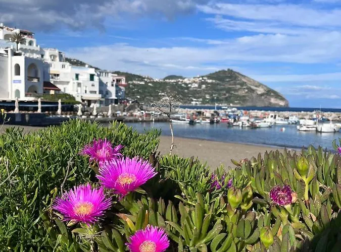 Bluoltremare Sant'Angelo (Isola d'Ischia)