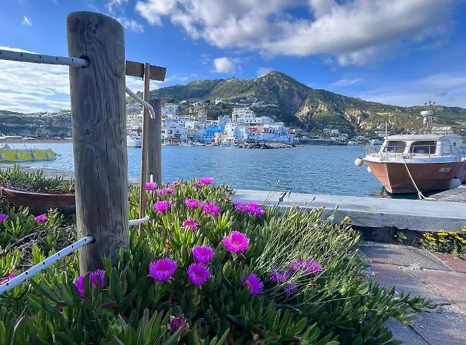 Bluoltremare Sant'Angelo (Isola d'Ischia)